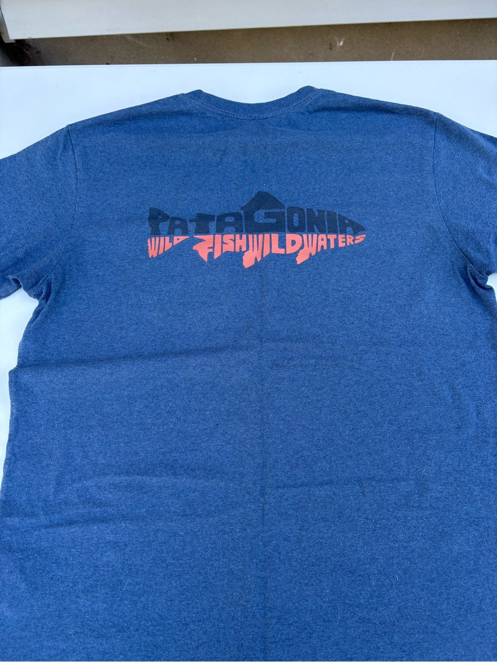 Patagonia pocket tee